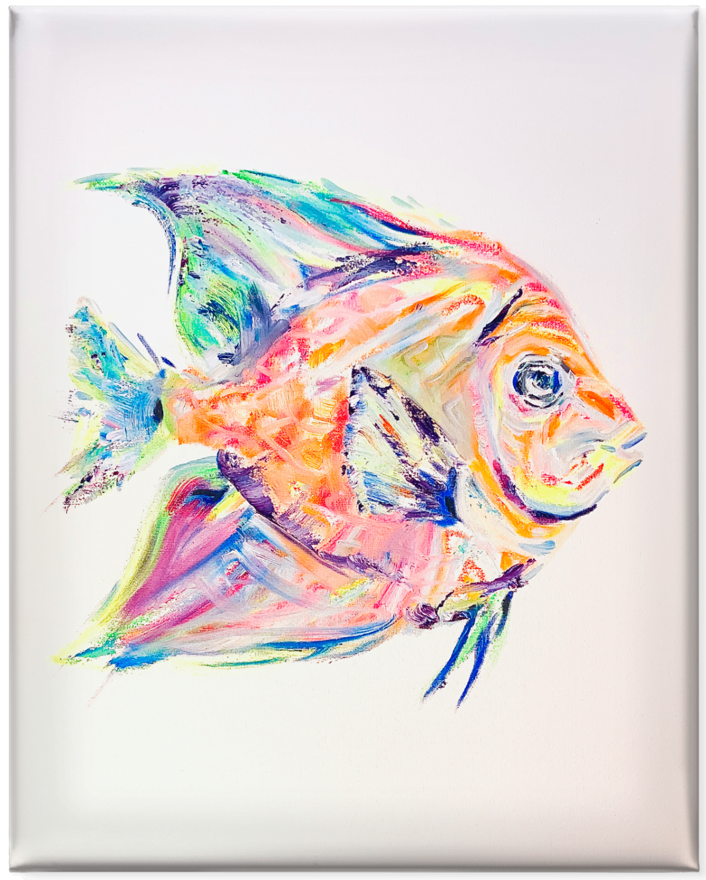 III. Pastel Angelfish