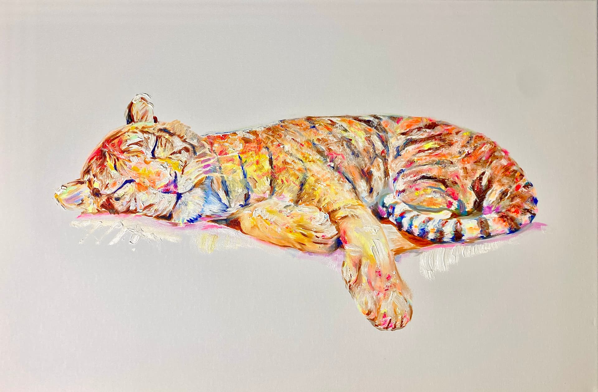 Sleeping Teenage Tiger
