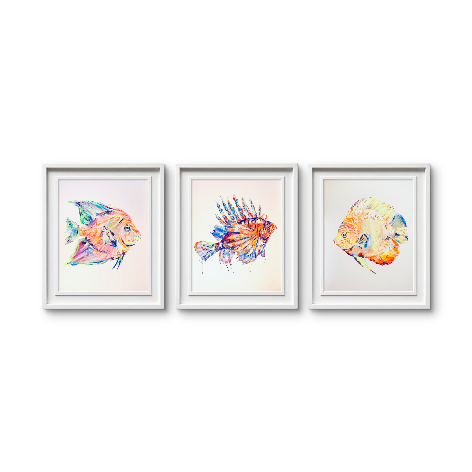 Three fish paintings framed in white against a bright white wall