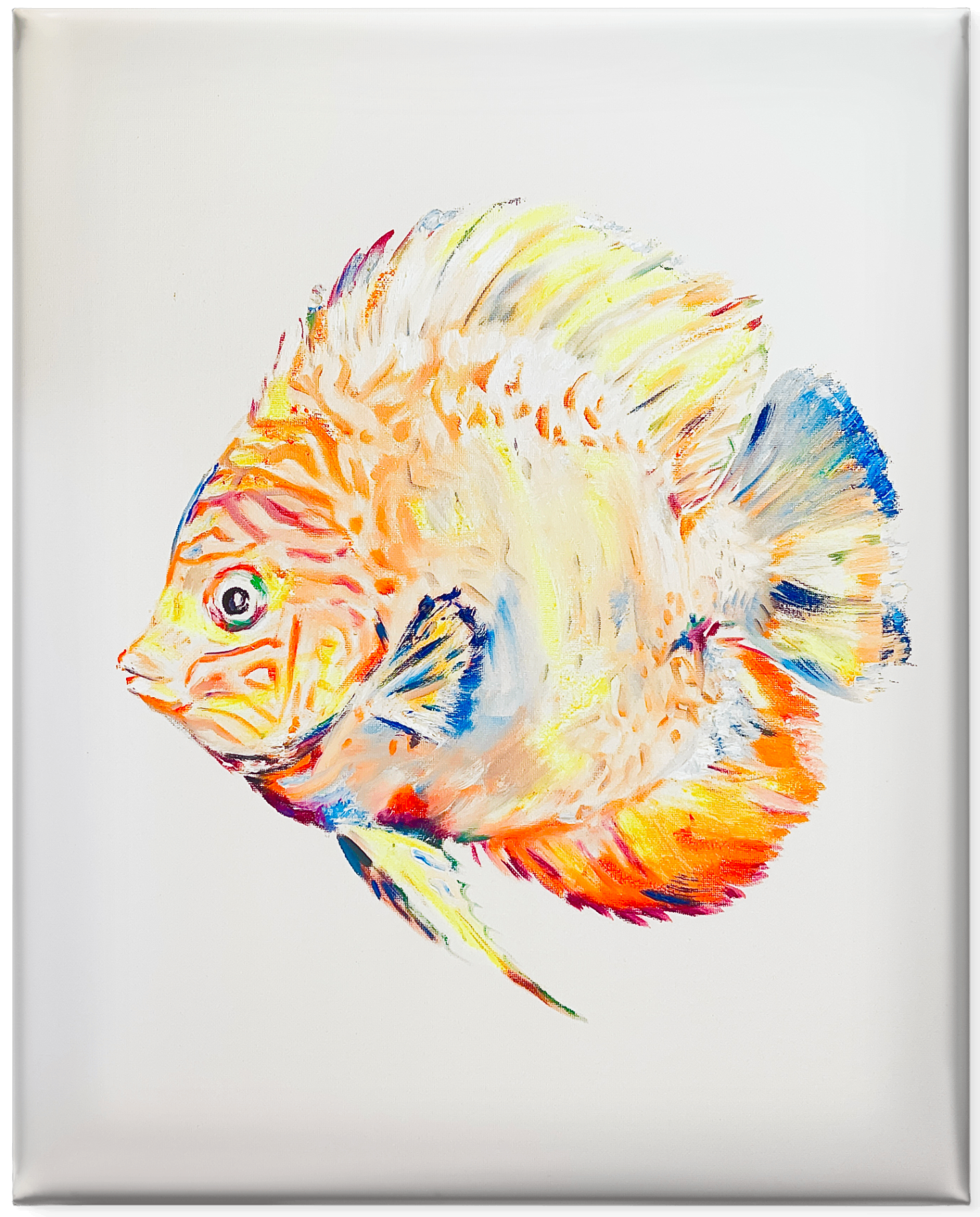 I. Sunlit Discus